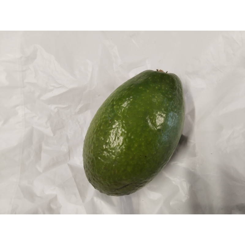 Avokado